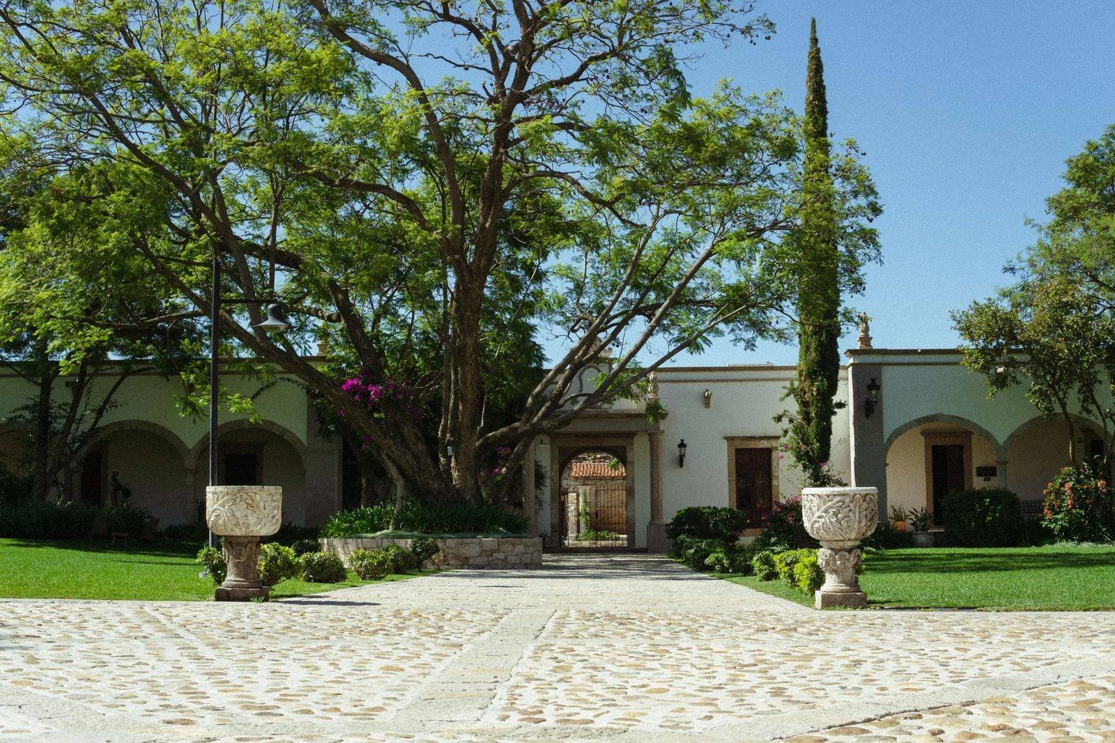 Patio empedrado de una hacienda con jardín, arcos y un árbol grande al centro